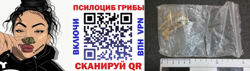 Галлюциногенные грибы ЛСД  кракен ССЫЛКА  Торопец 